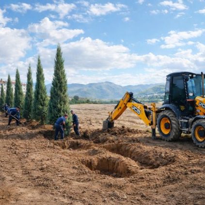 Ağaçlandırma Çalışmaları