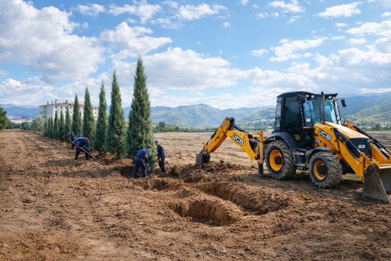 Ağaçlandırma Çalışmaları